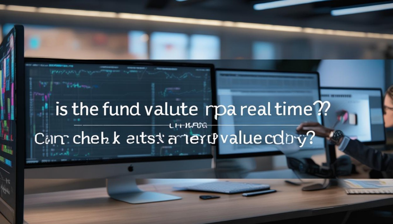 基金净值实时更新吗？今天能查到最新净值吗？