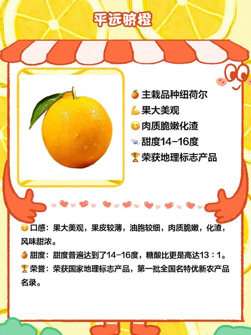 脐橙行情如何?市场价涨跌怎样?