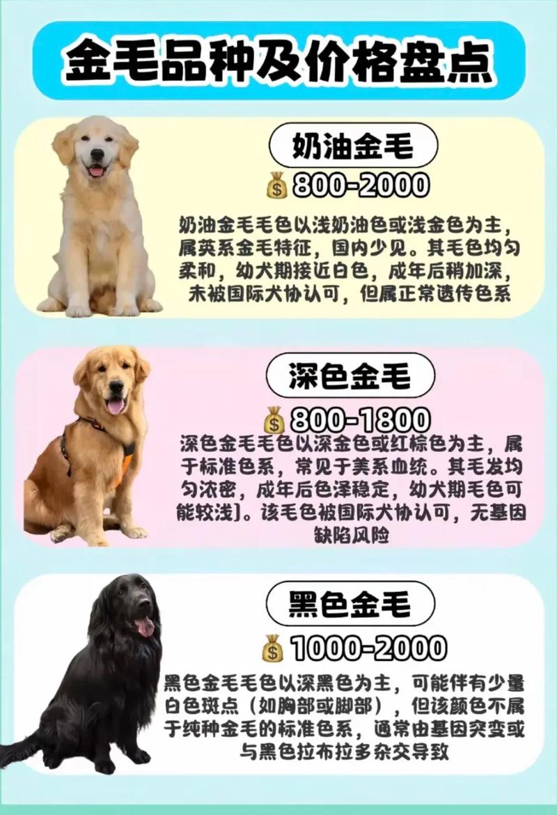 今年狗狗行情为何爆发?