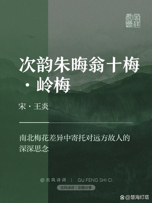 南岭梅今年行情如何?