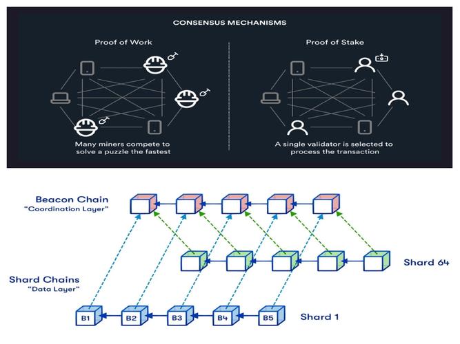 政府区块链虚拟货币,监管与风险如何平衡?