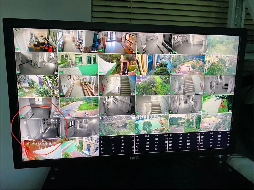 大智慧主力实时监控,如何精准捕捉主力资金动向,散户如何跟对节奏?