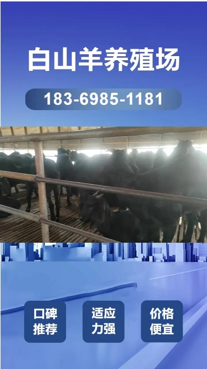 安顺当前经济形势如何?未来发展趋势怎样?