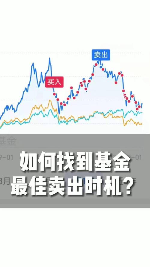 基金实时走势图讯,如何通过动态数据解读市场情绪与投资策略?