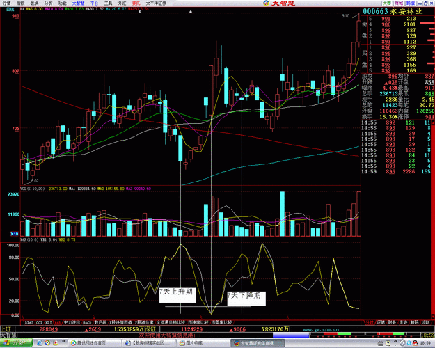 大智慧行情数据目录具体包含哪些核心数据类型及更新机制?