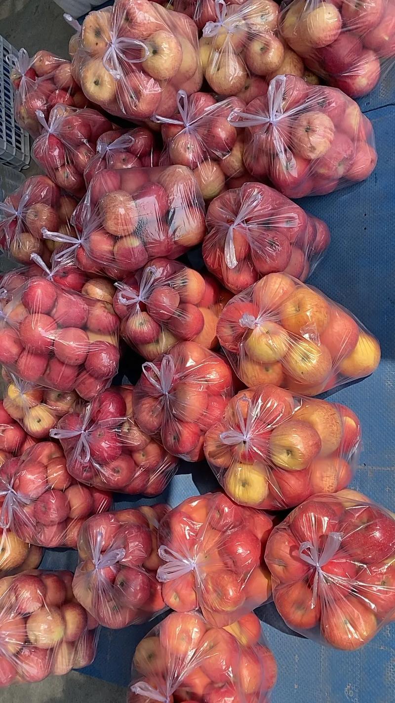 苹果现货实时行情最新价格是多少？不同产地和品质的苹果价格差异有多大？