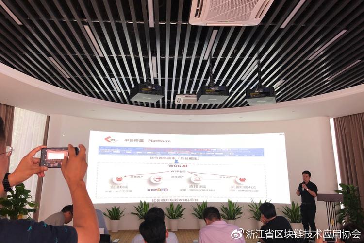 区块链投资交流，如何规避风险并捕捉真实价值？