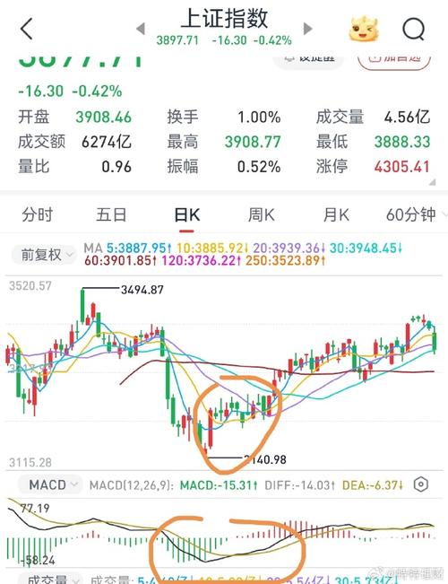 方大B实时行情最新动态如何?当前股价走势与市场表现怎样?