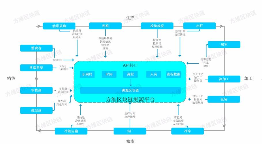本体区块链查询能实现哪些具体功能?如何高效操作?