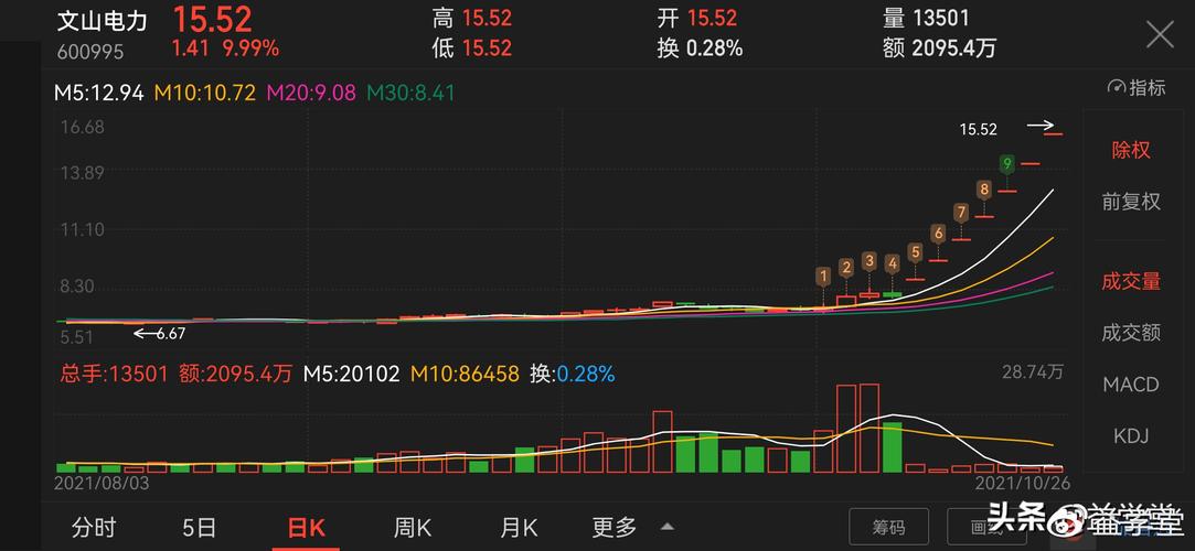 文山电力历史行情中股价波动与哪些关键因素密切相关?