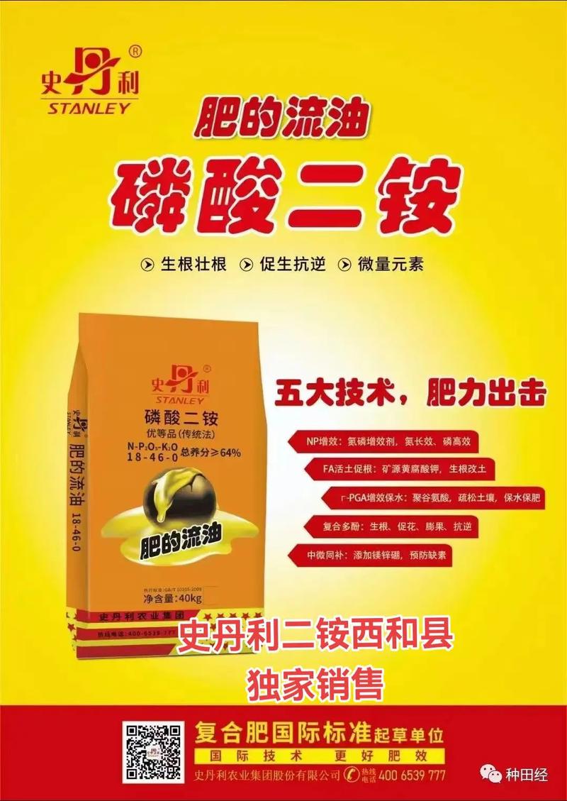 史丹利历史行情走势如何？关键节点与未来趋势深度解析