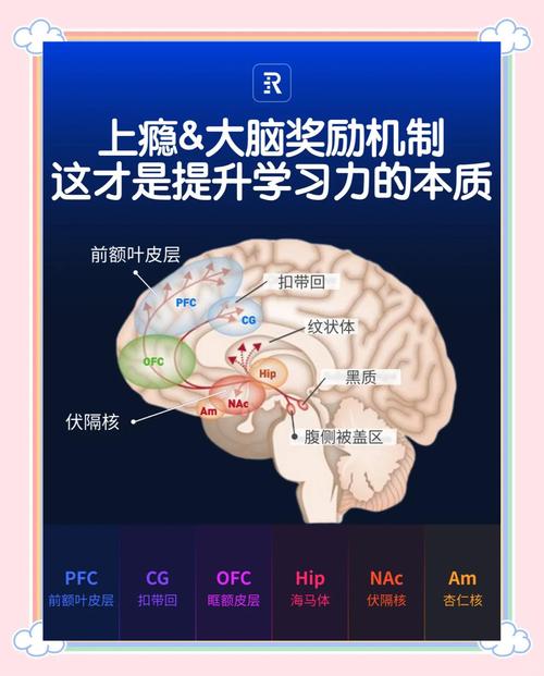 深脑区块链如何颠覆传统认知？技术融合与未来应用场景深度解析。